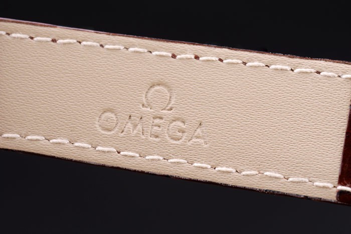 Omega Seamaster Best Quality Replica Watches 4423